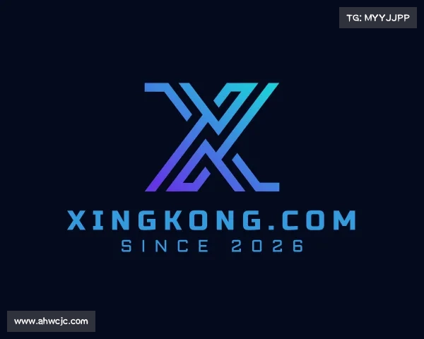 介绍xingkong.com