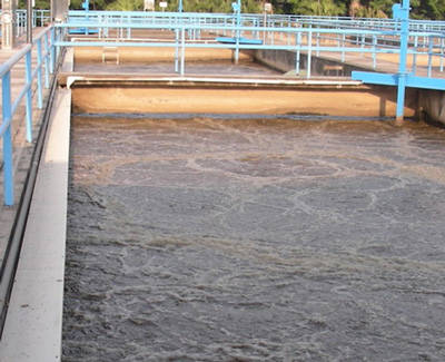 豆制品废水除臭剂与防护屏障 守护水环境的关键技术